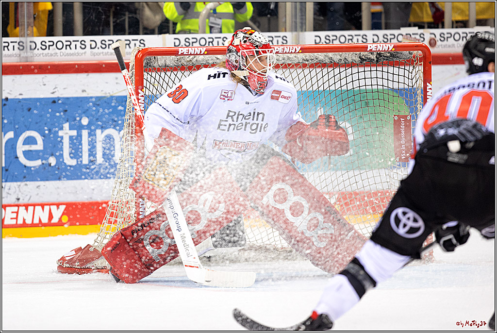 PENNY DEL;  Düsseldorfer EG - Kölner Haie; Düsseldorf, 28.10.2022